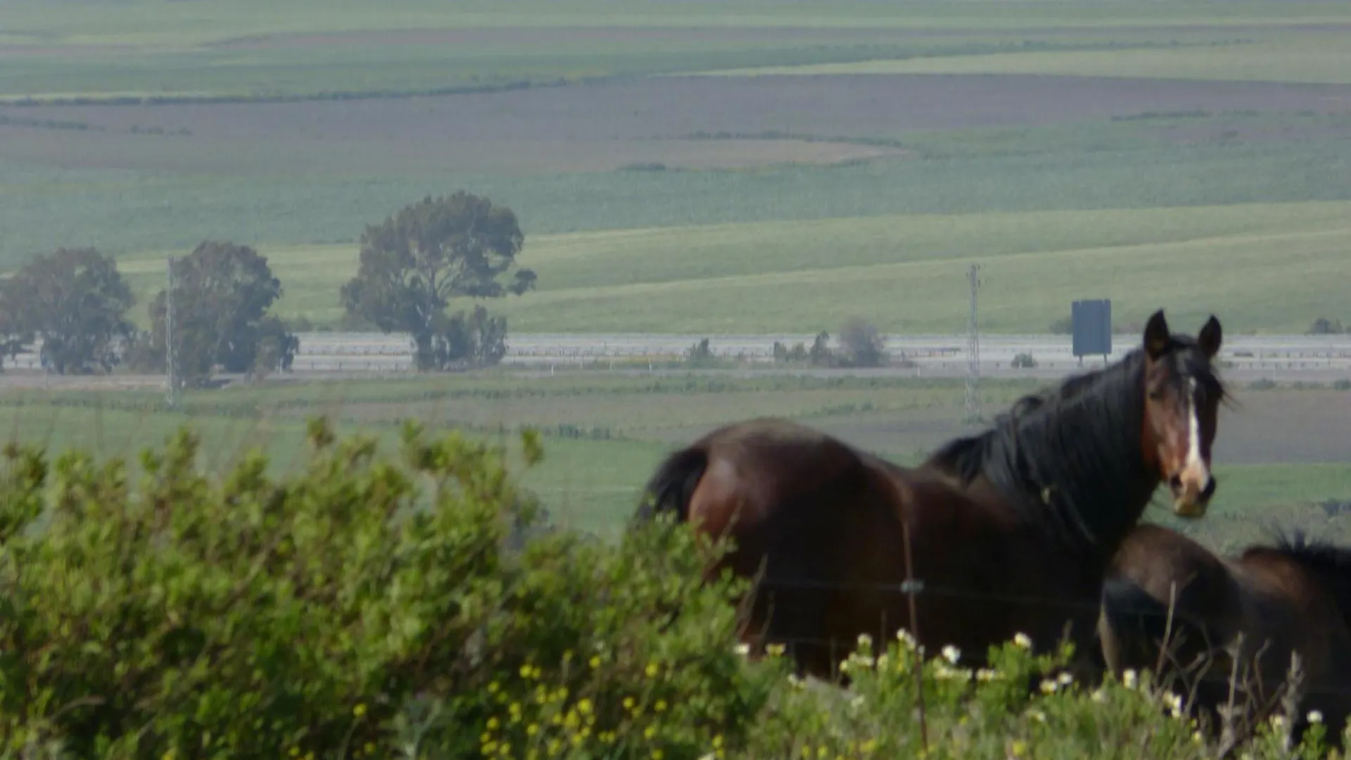 Hotel Sindhura Vejer de la Frontera 3*,