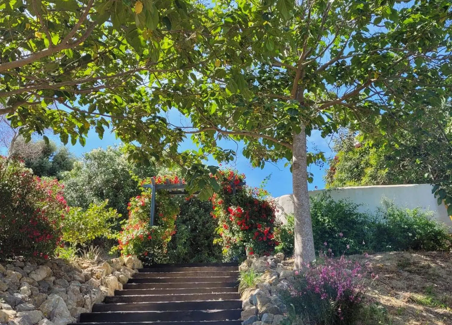 Hotel Sindhura Vejer de la Frontera